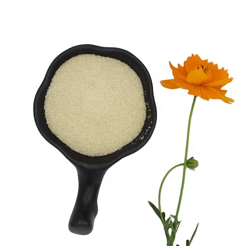 wholesale halal beef edible gelatin powder use for food additive